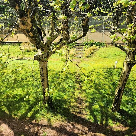 Villa Castel Maison-Table D'Hotes & Jardin-Refuge De Biodiversite Rillieux-la-Pape 外观 照片