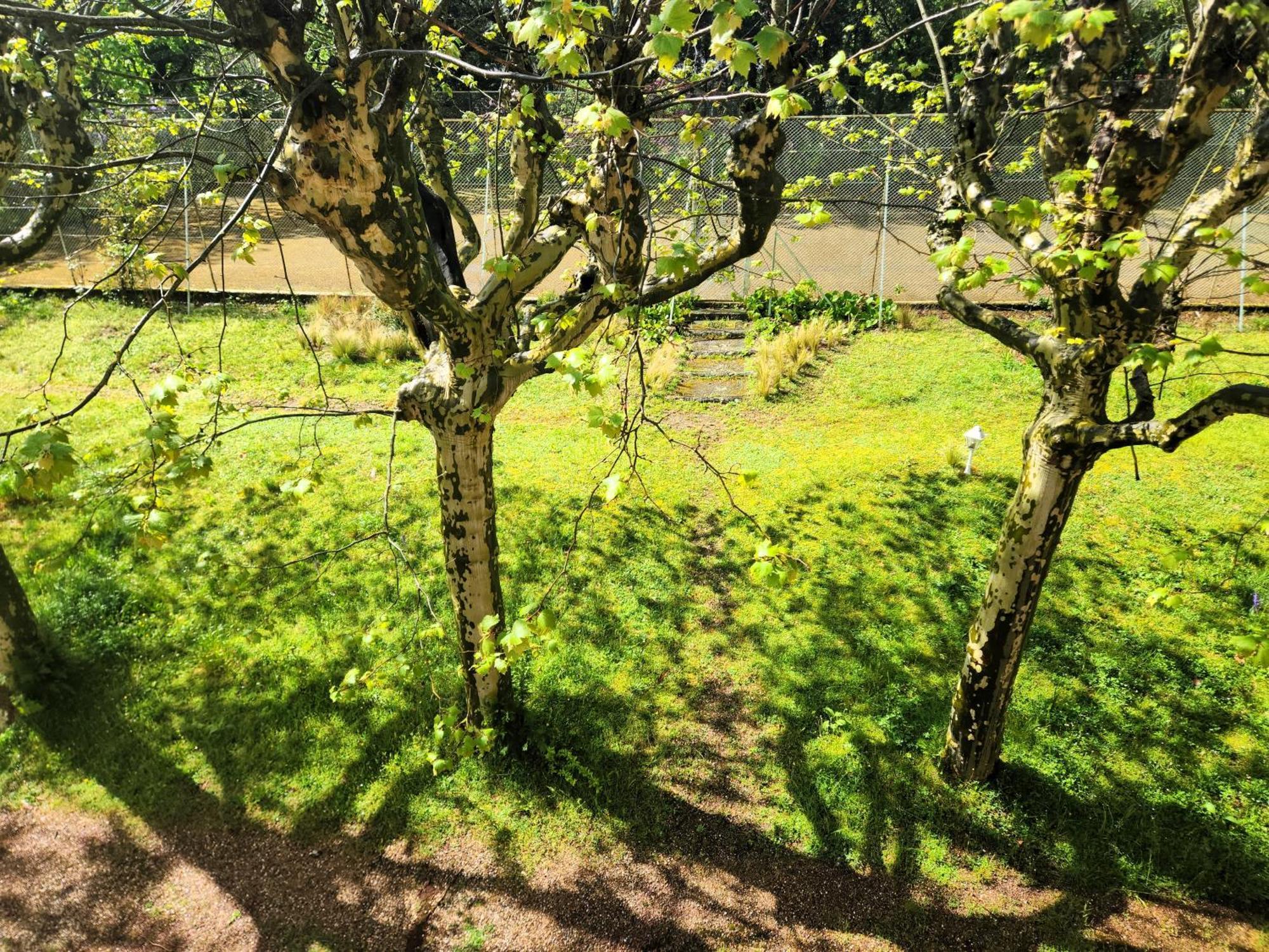 Villa Castel Maison-Table D'Hotes & Jardin-Refuge De Biodiversite Rillieux-la-Pape 外观 照片