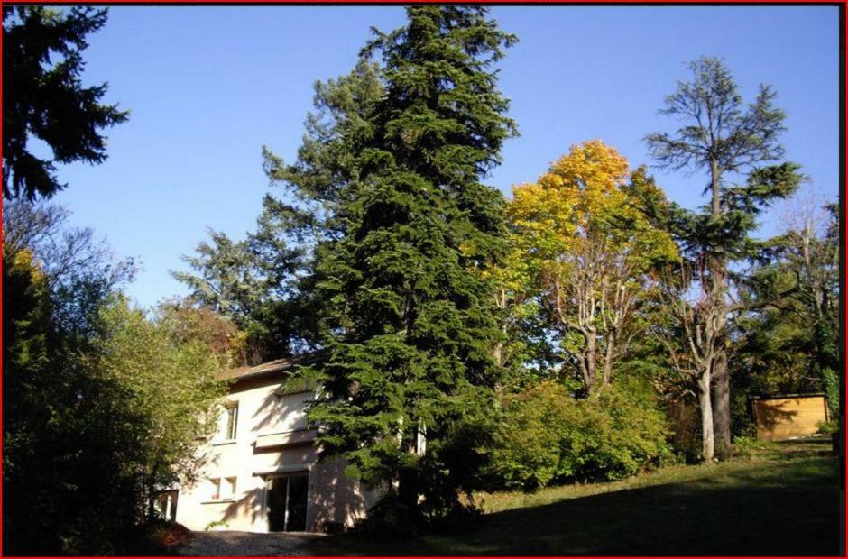 Villa Castel Maison-Table D'Hotes & Jardin-Refuge De Biodiversite Rillieux-la-Pape 外观 照片